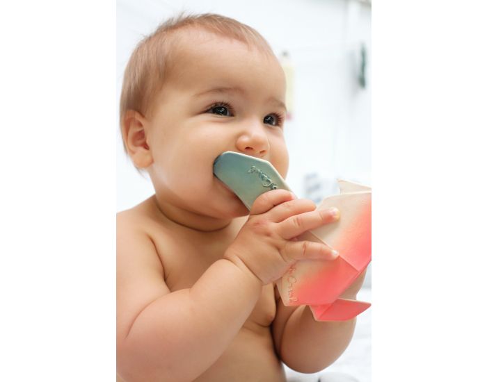 OLI & CAROL Jouet de Bain H2Origami Baleine - D�s la Naissance (1)