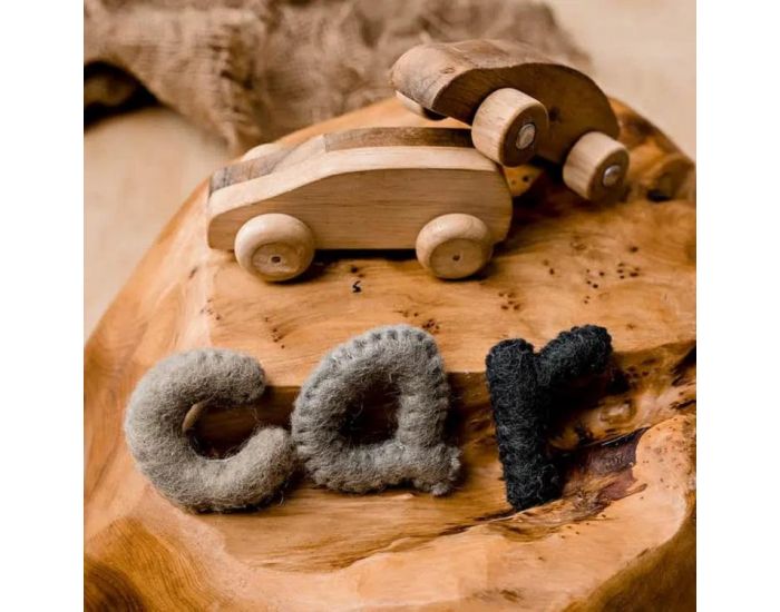 PAPOOSE TOYS Alphabet en Laine Feutr�e - Les Minuscules - D�s 3 ans (2)