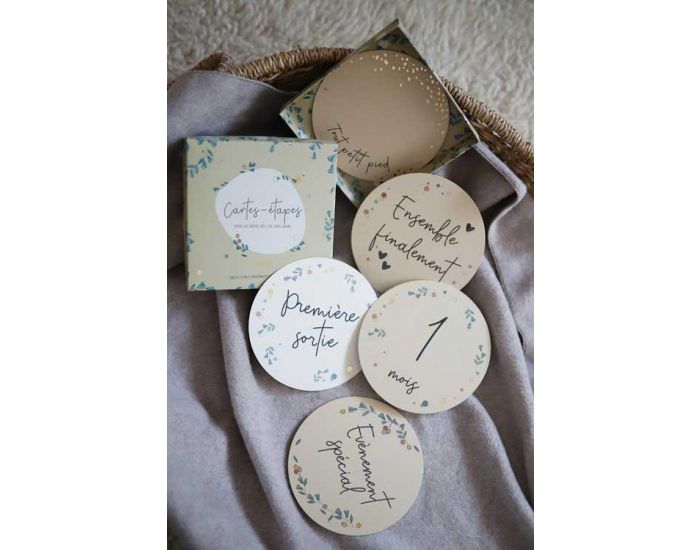 SNAP THE MOMENT Cartes Etapes Magic Moment - D�s la Naissance  (7)