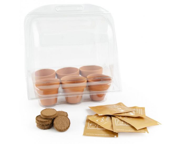 RADIS ET CAPUCINE Mini Serre plastique recycl�- Mon premier Jardin (4)