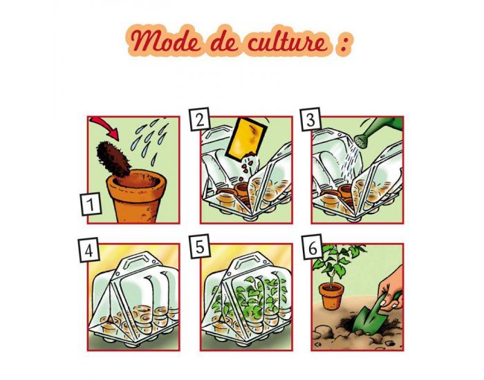 RADIS ET CAPUCINE Mini Serre plastique recycl�- Mon premier Jardin (6)