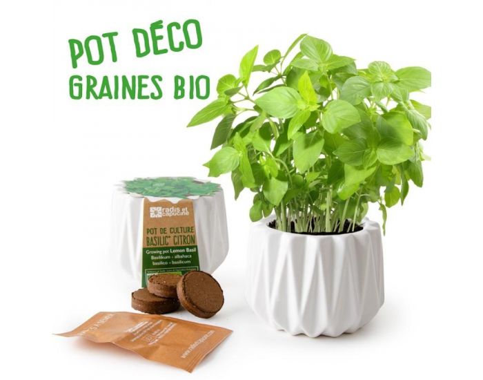RADIS ET CAPUCINE Pot Origami Petit Mod�le Basilic Citron Bio � Semer (2)