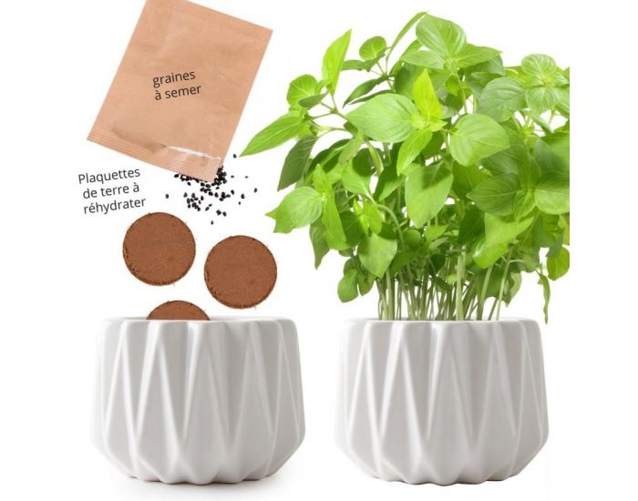 RADIS ET CAPUCINE Pot Origami Petit Mod�le Basilic Citron Bio � Semer (3)