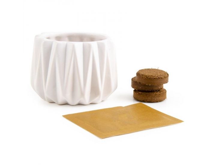 RADIS ET CAPUCINE Pot Origami Petit Mod�le Basilic Citron Bio � Semer (4)