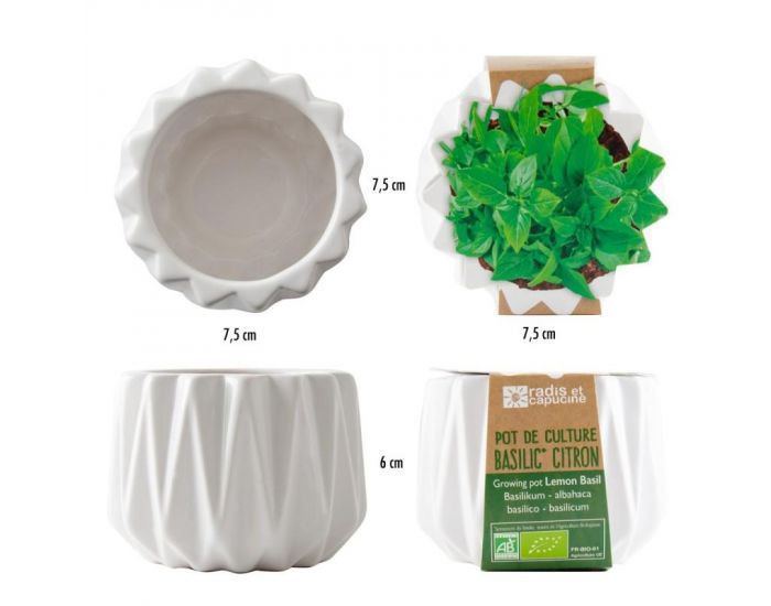 RADIS ET CAPUCINE Pot Origami Petit Mod�le Basilic Citron Bio � Semer (5)