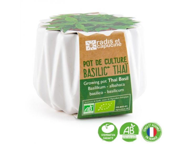RADIS ET CAPUCINE Pot Origami Petit Mod�le Basilic Citron Bio � Semer (6)