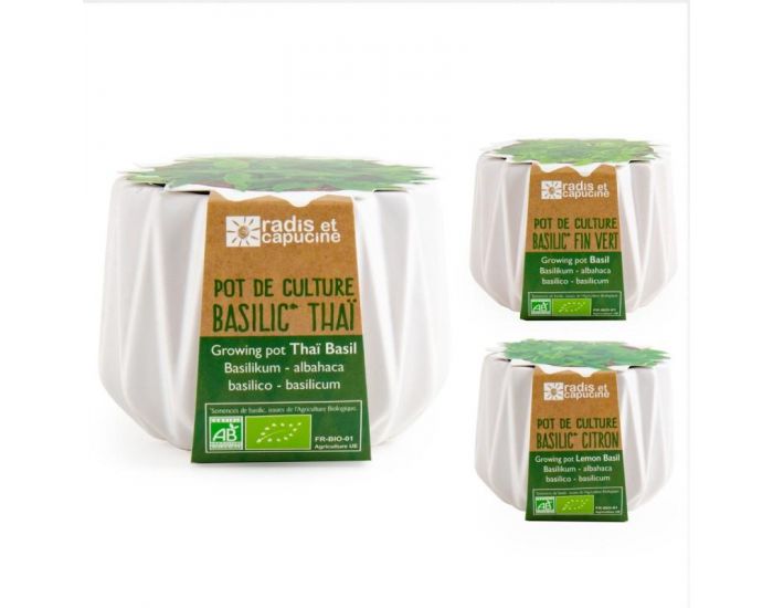 RADIS ET CAPUCINE Pot Origami Petit Mod�le Basilic Citron Bio � Semer (7)