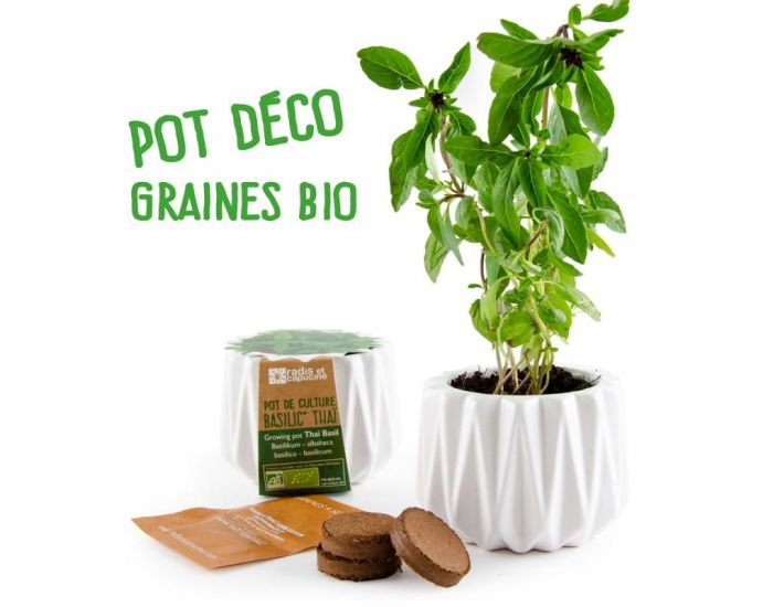 RADIS ET CAPUCINE Pot Origami Petit Mod�le Basilic Citron Bio � Semer (8)