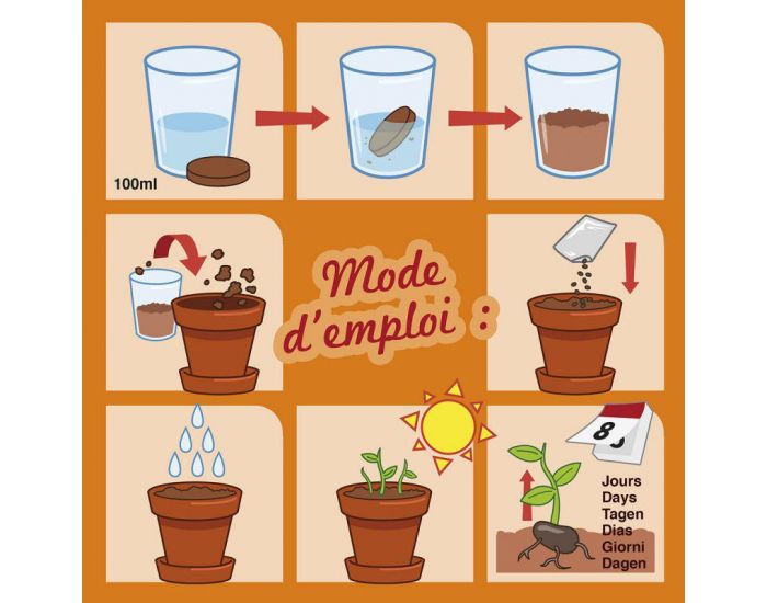 RADIS ET CAPUCINE Plante Chocolat - Pot 8 cm (5)