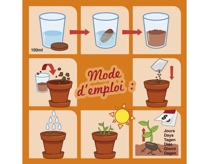 RADIS ET CAPUCINE Plante Chocolat - Pot 8 cm (5)