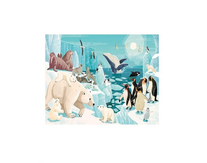 SASSI JUNIOR La Plan�te en Danger - Les Glaces - D�s 6 ans (1)