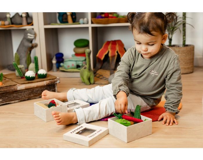 PAPOOSE TOYS Mini L�gumes en Laine Feutr�e - Set de 6 - D�s 3 ans (1)