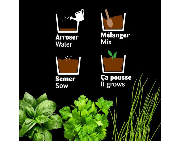 RADIS ET CAPUCINE Serre pour semer vos plantes aromatiques bio. (2)