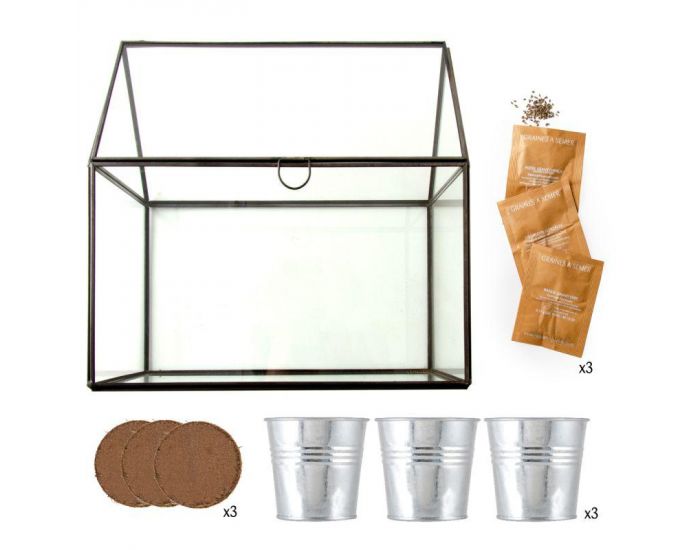 RADIS ET CAPUCINE Serre pour semer vos plantes aromatiques bio. (3)