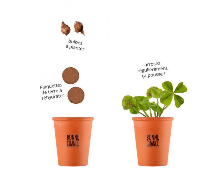 RADIS ET CAPUCINE Kit '