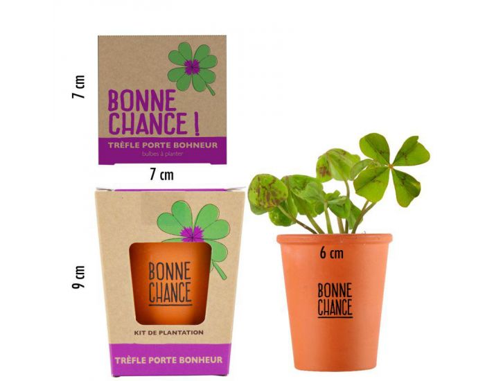 RADIS ET CAPUCINE Kit '