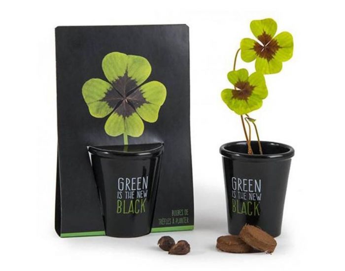 RADIS ET CAPUCINE Pot Tr�fles � 4 Feuilles 