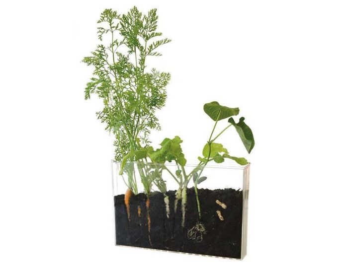 RADIS ET CAPUCINE Vivarium Observation Racines Et Vers De Terre - D�s 6 Ans (1)