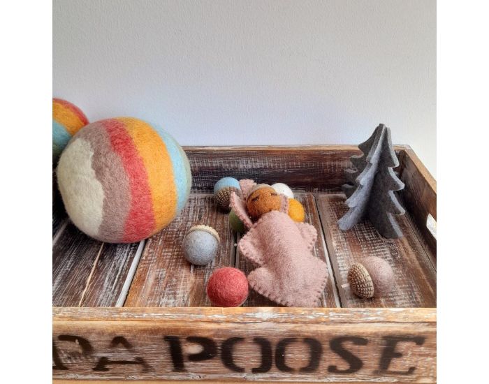 PAPOOSE TOYS R�veur des Bois - Earth - D�s 3 ans (9)