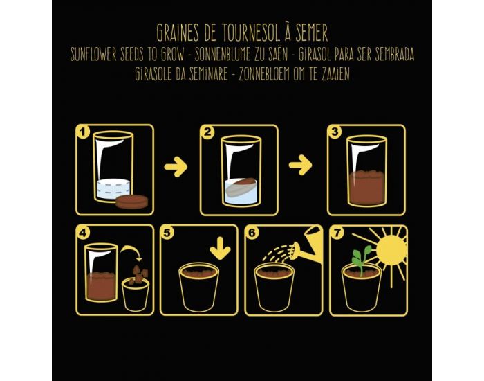 RADIS ET CAPUCINE Pot black graines de Tournesol � Semer (2)