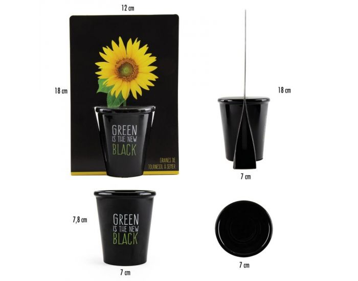 RADIS ET CAPUCINE Pot black graines de Tournesol � Semer (4)