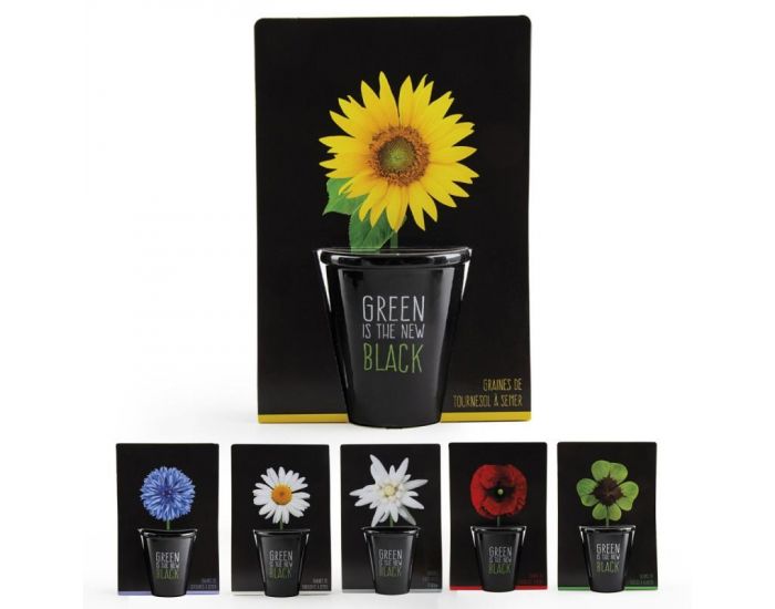 RADIS ET CAPUCINE Pot black graines de Tournesol � Semer (5)