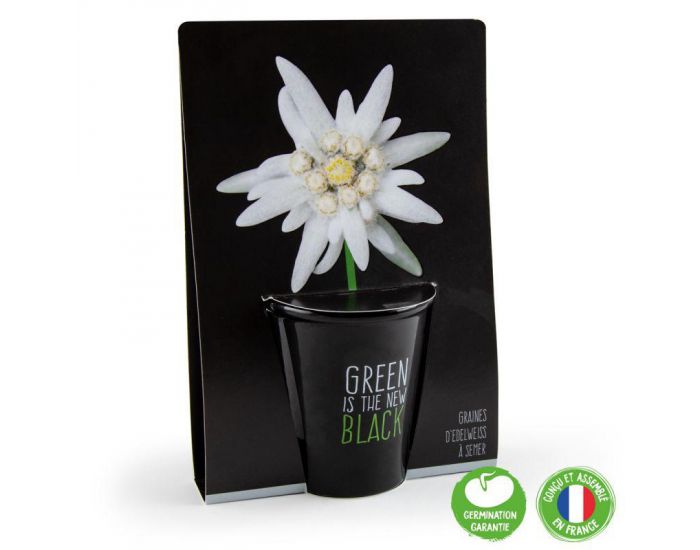 RADIS ET CAPUCINE Pot Black Graines d'Edelweiss � Semer (1)
