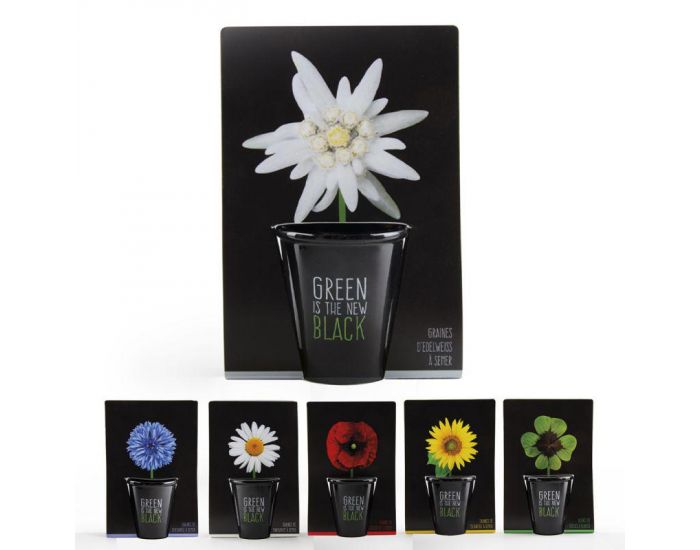 RADIS ET CAPUCINE Pot Black Graines d'Edelweiss � Semer (2)