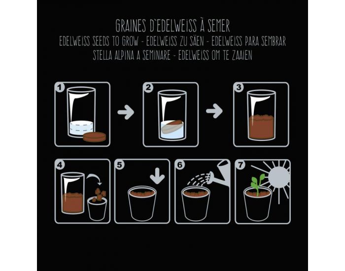 RADIS ET CAPUCINE Pot Black Graines d'Edelweiss � Semer (3)