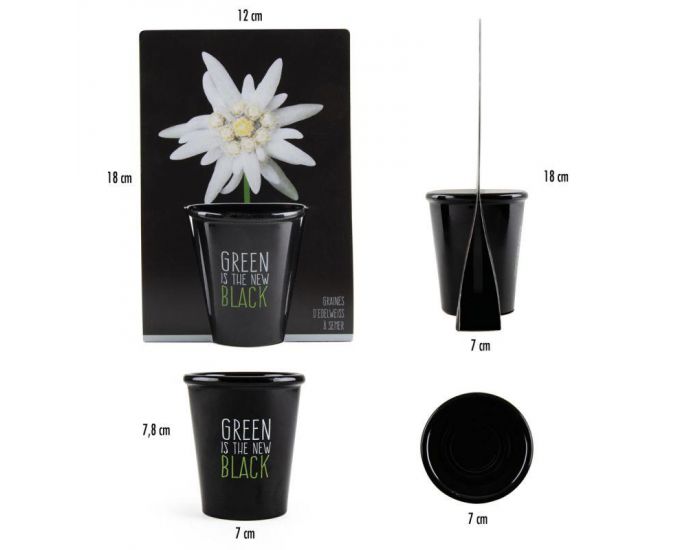 RADIS ET CAPUCINE Pot Black Graines d'Edelweiss � Semer (7)