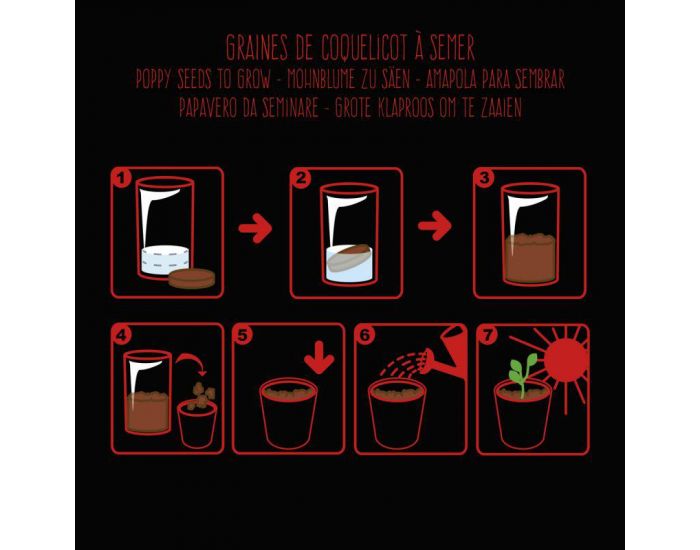 RADIS ET CAPUCINE Pot black Graines de Coquelicot � Semer (3)