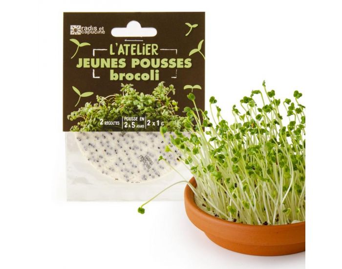 RADIS ET CAPUCINE Tapis Jeunes Pousses Brocoli Bio (1)