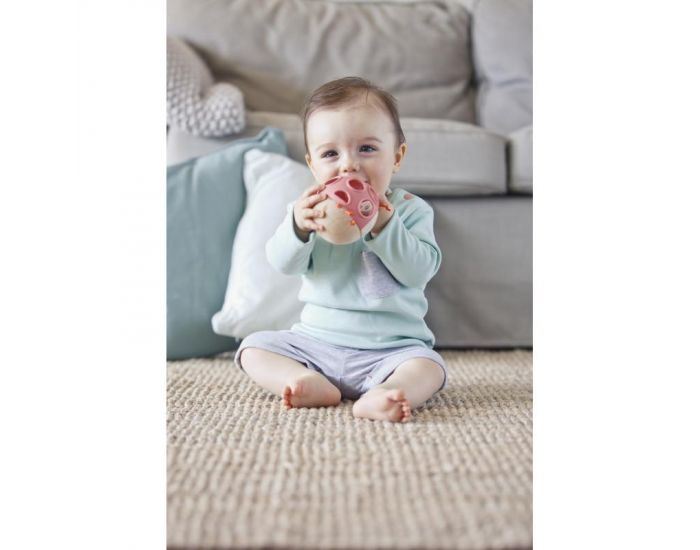 HAPE Jouet d'Eveil Coccinelle - D�s 12 mois (1)