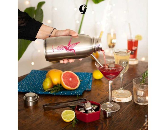 GASPAJOE Bo�te de Gla�ons en Inox - Icy - Lot de 4 (1)