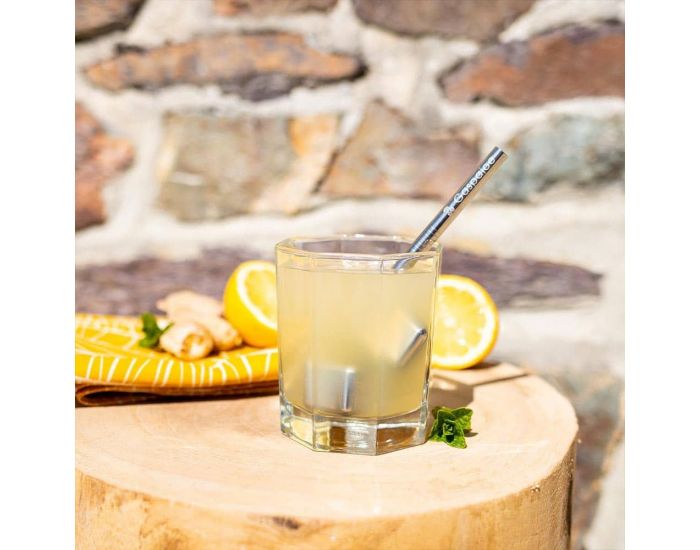 GASPAJOE Bo�te de Gla�ons en Inox - Icy - Lot de 4 (4)