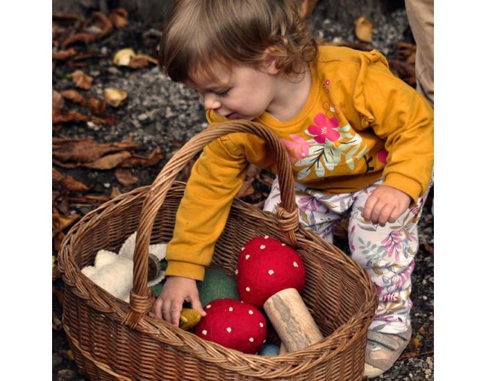 PAPOOSE TOYS Champignons - Set de 2 - D�s 3 ans (1)