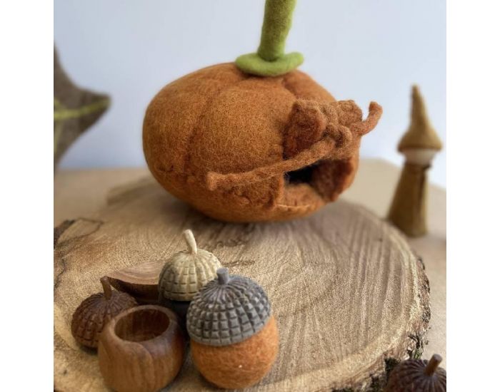 PAPOOSE TOYS Maison et Tapis en Laine Feutr�e Citrouille Enchant�e - D�s 3 ans (3)