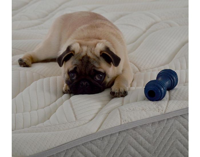 NUIT DE COTON Matelas Pr�lude 2 Personnes - Latex Naturel - Soutien Ferme (12)