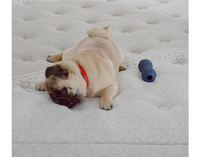 NUIT DE COTON Matelas S�r�nade 2 Personnes - Ressorts Ensach�s - Soutien Ferme (17)