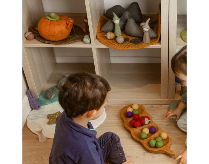 PAPOOSE TOYS Glands Earth - Set de 7 - D�s 3 ans (3)