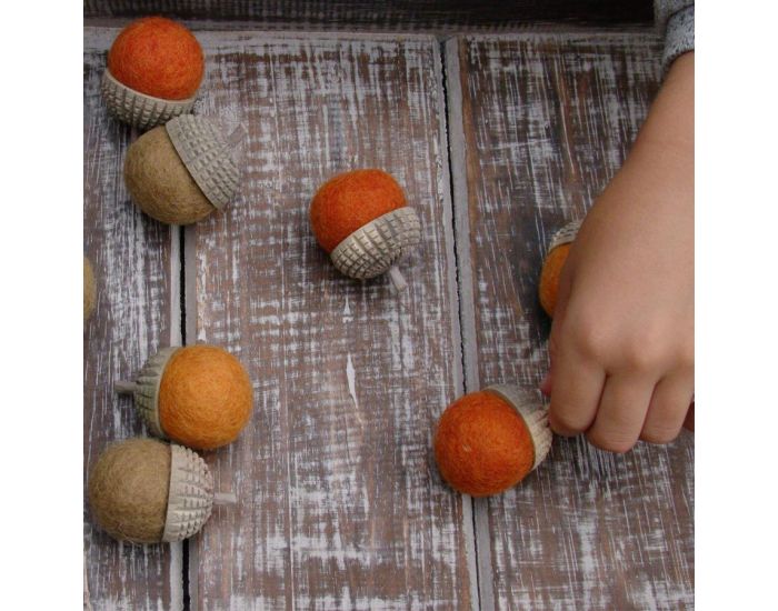 PAPOOSE TOYS Glands Automne - Set de 9 - D�s 3 ans (5)