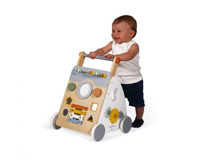 JANOD Chariot Multi-activit�s Sweet Cocoon - D�s 1 an (1)