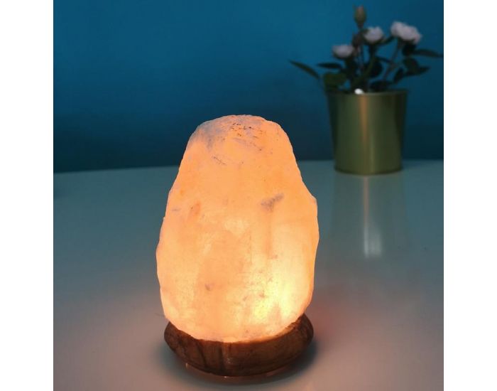 ZEN'ARME Lampe USB en Cristal de Sel d'Himalaya - Rock (2)