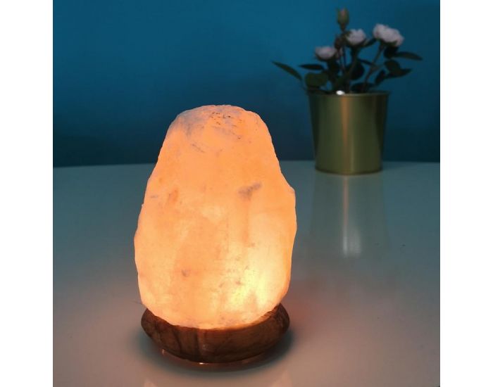 ZEN'ARME Lampe USB en Cristal de Sel d'Himalaya - Rock (3)