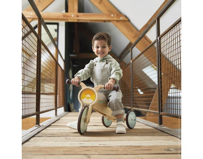 JANOD Tricycle � Bascule - D�s 1 an (2)