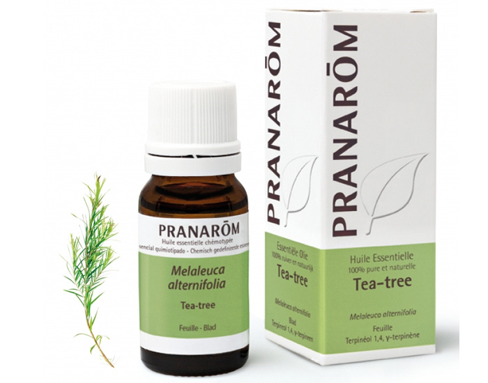 PRANAROM Tea tree - 10 ml (1)