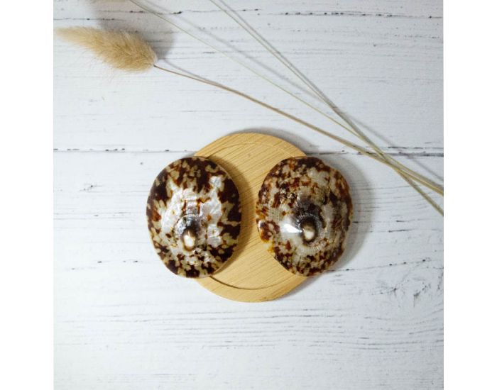IRREVERSIBLE Coquillages D'Allaitement Mammaire - Lot de 2 (1)