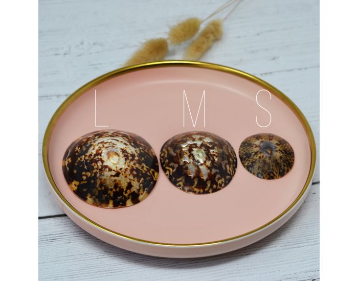 IRREVERSIBLE Coquillages D'Allaitement Mammaire - Lot de 2 (8)