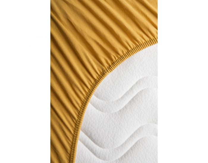 KADOLIS Drap Housse Coton Bio - Enfant Kaki (115)