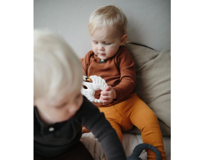 NATRUBA Anneau de Dentition en Caoutchouc Naturel - Cygne - D�s la Naissance (1)